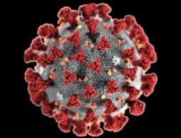 Coronavirus 'a devastating blow