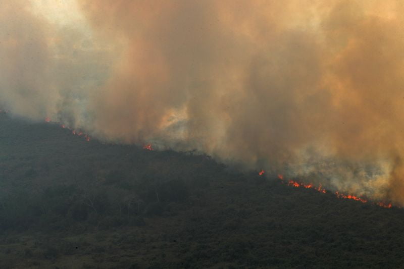 LYNXMPEG7S0FA L rJ6i1S