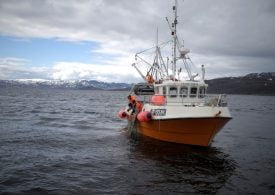 Norway reaches fisheries agreement with UK ahead of Brexit