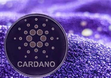 The Cardano (ADA) Foundation Gives Back by Planting 1 million Trees