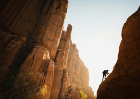 Bitcoin, ether, solana prices move higher as Gulf allies inch toward joining Iran war