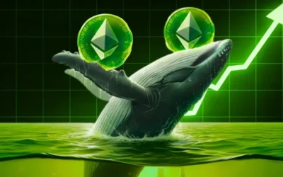 Ethereum Hack Hits 500 Long Dormant Wallets 800K Lost 2026 05 02 07 17 38