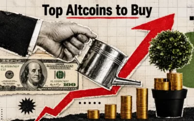 top altcoins to stack now before the next rally 2026 05 25 07 18 38