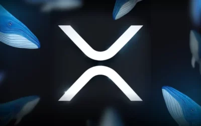 When Will XRP Price Hit a New All Time High 2026 05 19 19 18 48