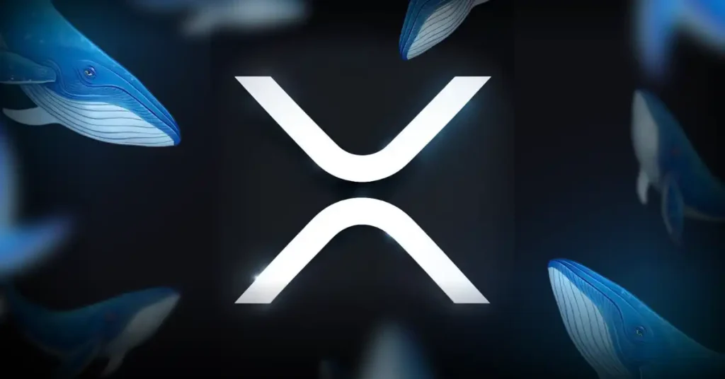When Will XRP Price Hit a New All Time High 2026 05 19 19 18 48