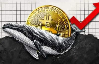 Bitcoin Whales Defy Volatility, Quietly Accumulate BTC at 17% Discount