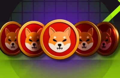 Can Shiba Inu Price Recover as SHIB Burn Rate Surges?