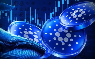 cardano activates van rossem hard fork what next for ada 2026 07 21 19 17 38