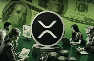 XRP Ownership Brackets: How Much XRP You Need to Reach the Top Holders