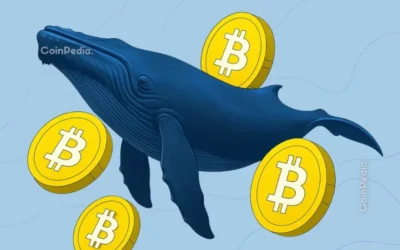 bitcoin price faces a familiar trap as whales start selling 2026 08 24 19 17 48
