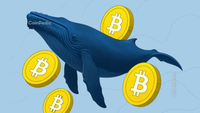 bitcoin price faces a familiar trap as whales start selling 2026 08 24 19 17 48