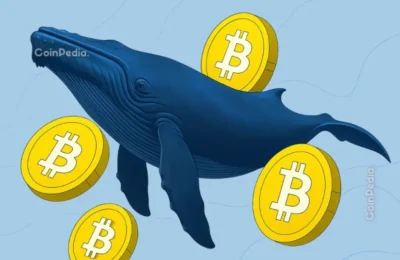 Bitcoin Price Faces a Familiar Trap as Whales Start Selling