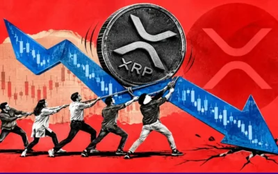 evernorth amends nasdaq terms to reflect xrp treasury value 2026 08 14 07 17 45