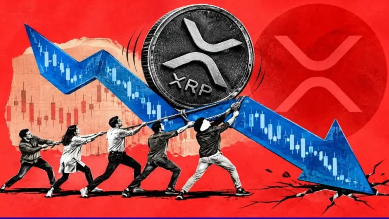 evernorth amends nasdaq terms to reflect xrp treasury value 2026 08 14 07 17 45