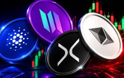 when is the best time to buy altcoins in 2026 2026 08 03 07 18 29