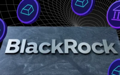 why blackrock is still bullish on bitcoin after its 50 crash 2026 08 19 07 17 57