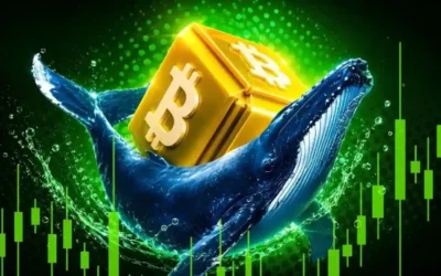 why did bitcoin jump today 2026 08 20 19 17 40