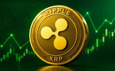 xrp news why one analyst calls xrp ‘gold with internet speed 2026 08 13 19 17 42