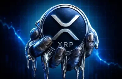 XRP Price Today - August 11th