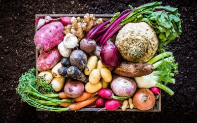 vegan1