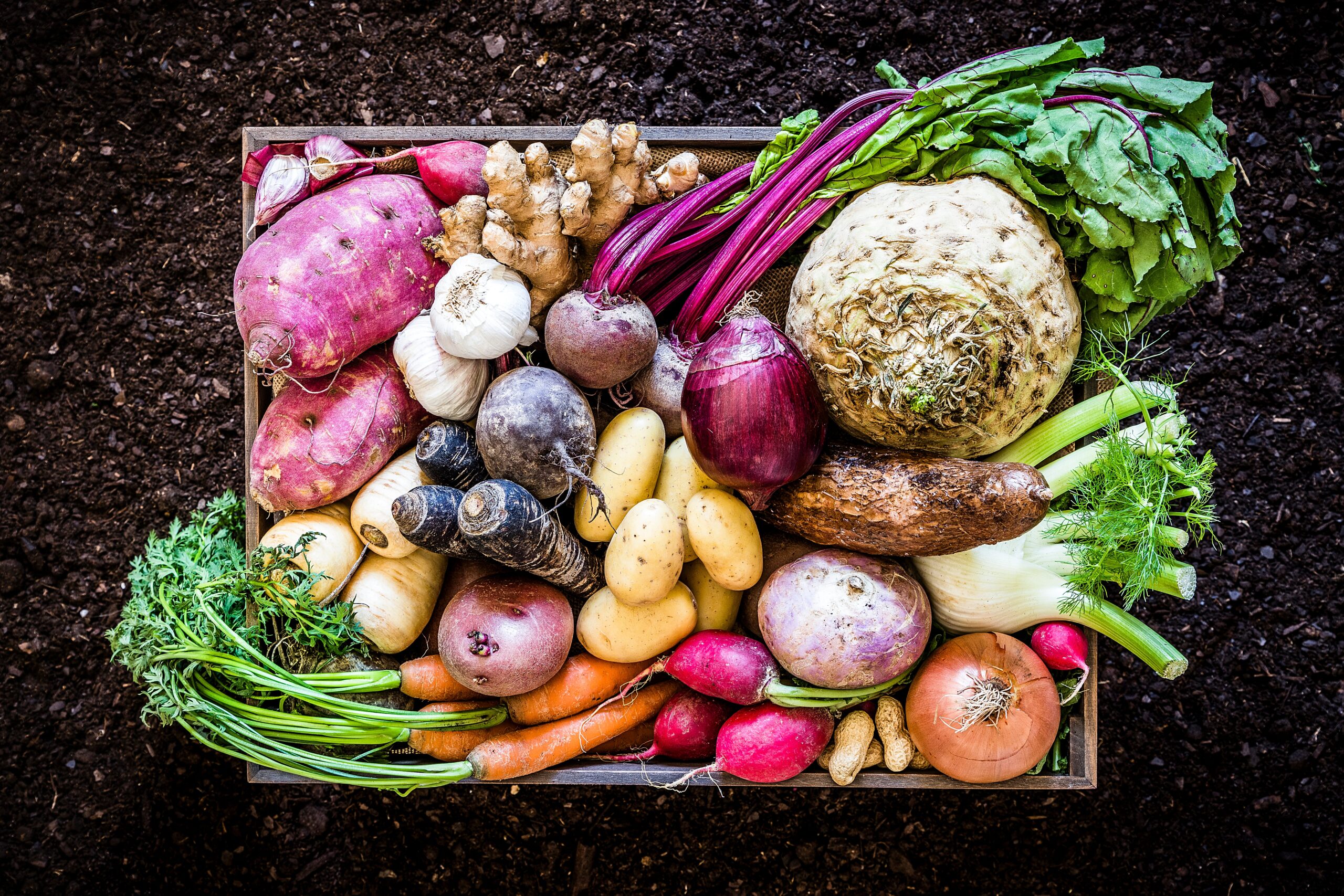 how going vegan helps the climate - and your climate anxiety