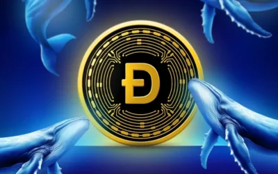 dogecoin price analysis can doge turn 0.081 into a launchpad 2026 09 02 07 17 47