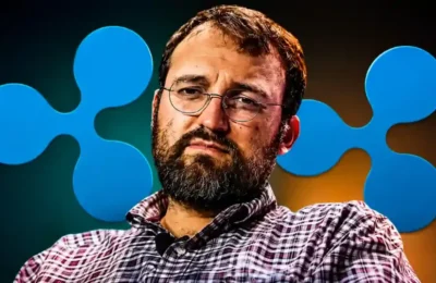 Hoskinson: Crypto Is About "Freedom and Liberty," Not Price